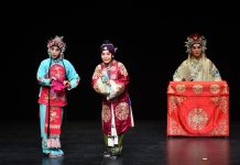 Cina: l’Opera di Pechino in scena a Vienna (2)