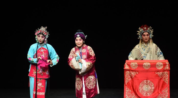 Cina: l’Opera di Pechino in scena a Vienna (2)