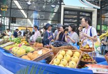 Cina: apre a Nanning la 23esima edizione della China-ASEAN Expo (1)