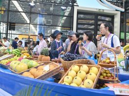 Cina: apre a Nanning la 23esima edizione della China-ASEAN Expo (1)