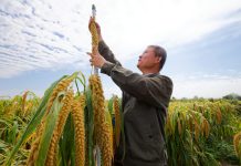 Cina: nello Heilongjiang raccolti oltre 5.400 campioni di germoplasma (1)