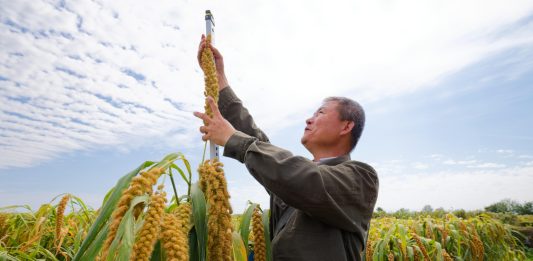 Cina: nello Heilongjiang raccolti oltre 5.400 campioni di germoplasma (1)