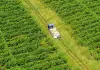 Cina: agricoltori al lavoro nel periodo della “Rugiada bianca” (2)