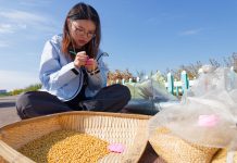 Cina: nello Heilongjiang raccolti oltre 5.400 campioni di germoplasma (2)