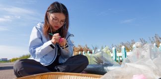 Cina: nello Heilongjiang raccolti oltre 5.400 campioni di germoplasma (2)