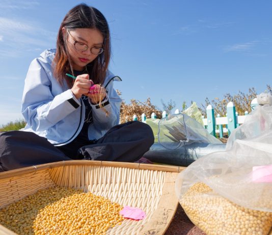 Cina: nello Heilongjiang raccolti oltre 5.400 campioni di germoplasma (2)