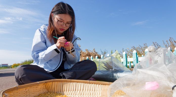Cina: nello Heilongjiang raccolti oltre 5.400 campioni di germoplasma (2)