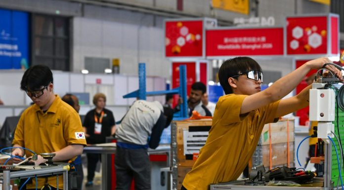 Cina: Shanghai ospita la 48esima edizione della WorldSkills Competition (2)