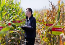 Cina: nello Heilongjiang raccolti oltre 5.400 campioni di germoplasma (3)