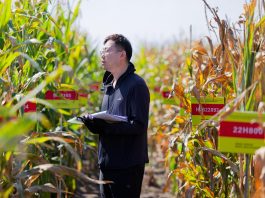 Cina: nello Heilongjiang raccolti oltre 5.400 campioni di germoplasma (3)