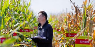 Cina: nello Heilongjiang raccolti oltre 5.400 campioni di germoplasma (3)