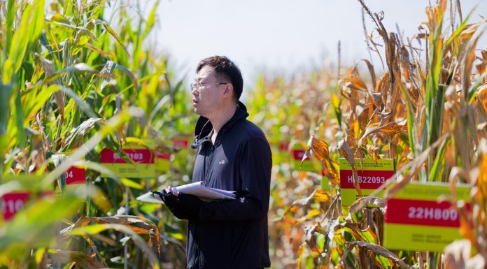 Cina: nello Heilongjiang raccolti oltre 5.400 campioni di germoplasma (3)