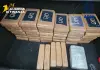 Colpo al narcotraffico, sequestrati 53 kg di cocaina in un container al porto di Livorno