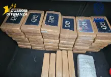 Colpo al narcotraffico, sequestrati 53 kg di cocaina in un container al porto di Livorno