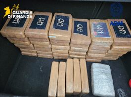 Colpo al narcotraffico, sequestrati 53 kg di cocaina in un container al porto di Livorno