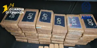 Colpo al narcotraffico, sequestrati 53 kg di cocaina in un container al porto di Livorno