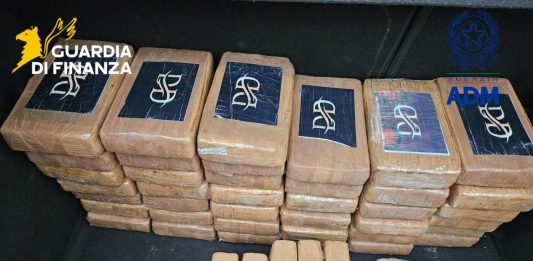 Colpo al narcotraffico, sequestrati 53 kg di cocaina in un container al porto di Livorno