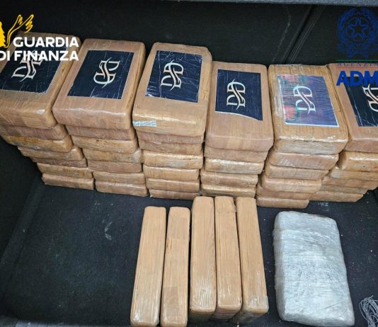Colpo al narcotraffico, sequestrati 53 kg di cocaina in un container al porto di Livorno