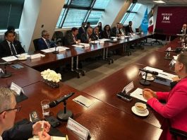 Onu, l’Italia assume la presidenza del Gruppo degli Amici della Cultura