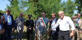 Il “Bosco dei Piloti” di Monza cresce con 22 nuovi alberi grazie all’iniziativa “Ogni Pilota, un Albero”