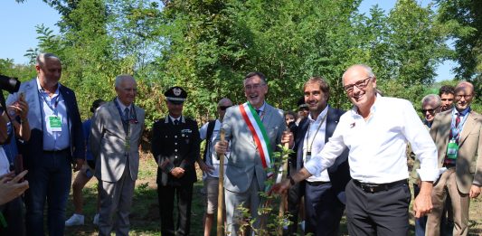 Il “Bosco dei Piloti” di Monza cresce con 22 nuovi alberi grazie all’iniziativa “Ogni Pilota, un Albero”