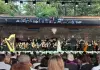 Ambasciata d’Italia in Georgia, il Maestro Noseda protagonista del rinomato Festival di Tsinandali