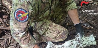 Faida della droga nel Bergamasco, 4 fermi ed arsenale bellico sequestrato / Video