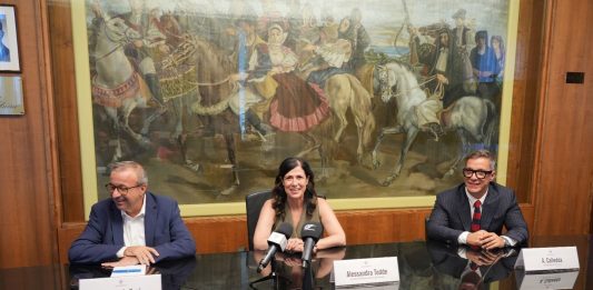 Presentato il piano della Nuova Icom per i lavoratori dell’ex Bekaert di Macchiareddu, Cani “In Sardegna sta per nascere una nuova industria”