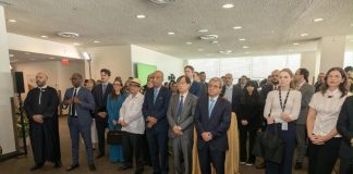 Libia, campagna per seggio Onu al Consiglio di Sicurezza