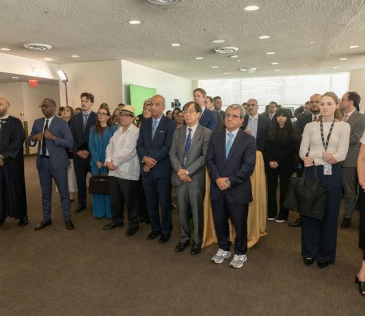 Libia, campagna per seggio Onu al Consiglio di Sicurezza