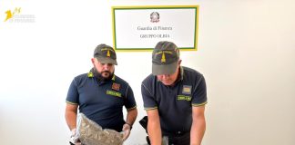 Smantellato market della droga a Santa Teresa di Gallura, due arresti