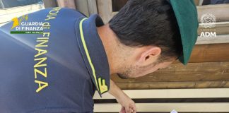 Gasolio fuorilegge al distributore, sequestro di 6.400 litri nel Vibonese