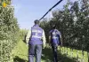 Sfruttamento del lavoro e truffa, sequestrati 800 mila euro a imprenditore trentino