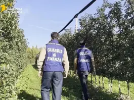 Sfruttamento del lavoro e truffa, sequestrati 800 mila euro a imprenditore trentino
