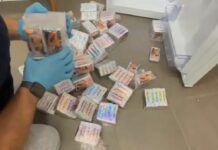 Venti chili di hashish nascosti in confezioni di papaya, un arresto a Cagliari