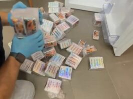 Venti chili di hashish nascosti in confezioni di papaya, un arresto a Cagliari