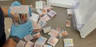 Venti chili di hashish nascosti in confezioni di papaya, un arresto a Cagliari