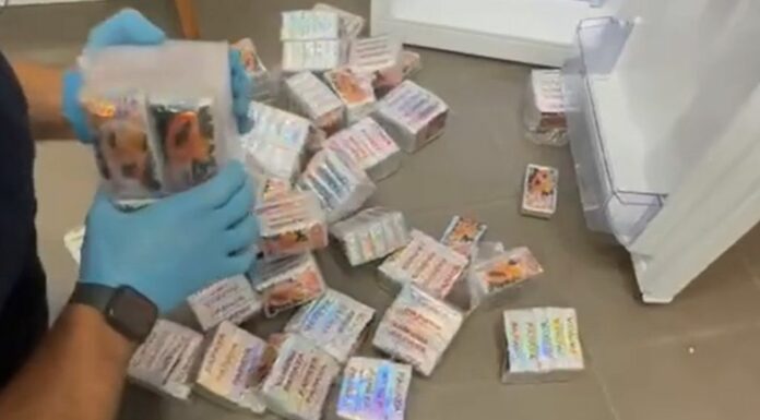 Venti chili di hashish nascosti in confezioni di papaya, un arresto a Cagliari