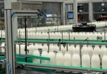 Arriva sul mercato italiano un’innovativa bottiglia in fibra di carta