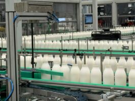 Arriva sul mercato italiano un’innovativa bottiglia in fibra di carta