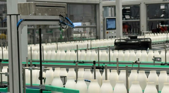 Arriva sul mercato italiano un’innovativa bottiglia in fibra di carta