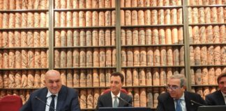 Ue, Crosetto “Sulla difesa comune l’Italia contribuisce per il 33%”