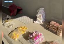 Bologna, sei arresti e sequestro di 420 chili di hashish