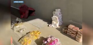 Bologna, sei arresti e sequestro di 420 chili di hashish