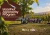 Al via le iscrizioni alla seconda edizione dell’Hazelnut Agronomy Program