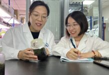 Cina, scoperta la pianta desertica “più resistente” anche nello spazio