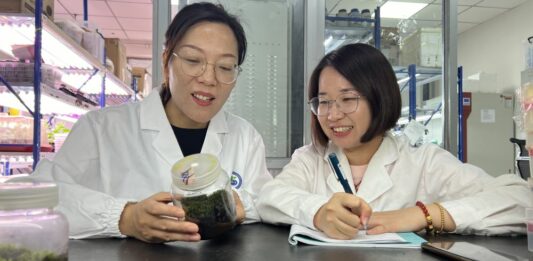 Cina, scoperta la pianta desertica “più resistente” anche nello spazio