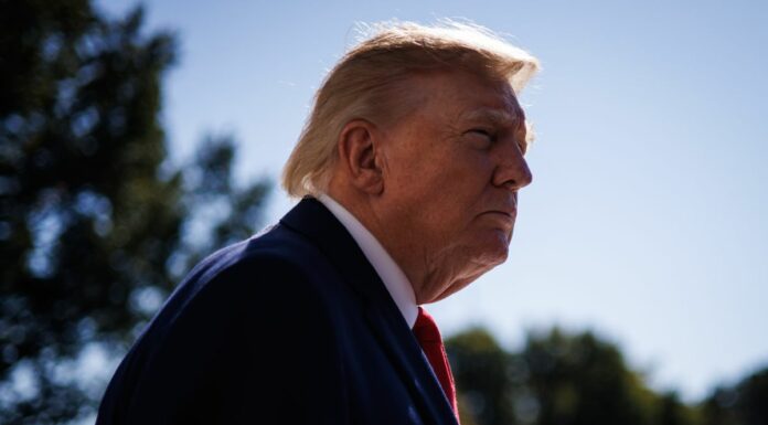 Trump “Sia Ucraina che Russia vogliono la fine della guerra, troveremo soluzione”