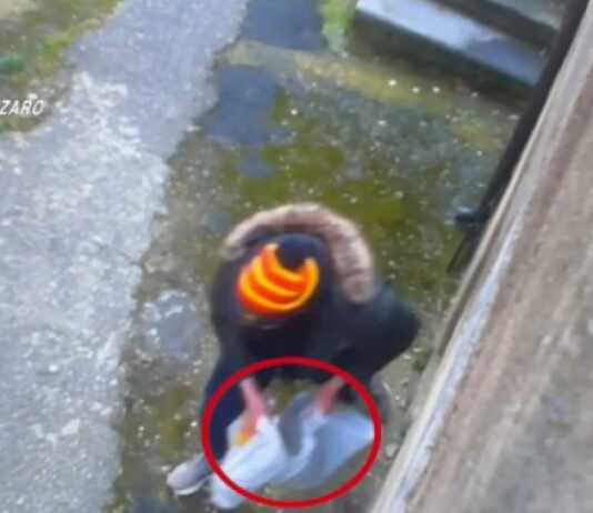 Droga comprata con il reddito di cittadinanza, 24 indagati tra Catanzaro e Vicenza