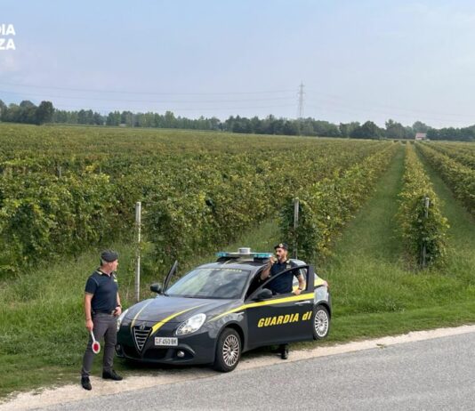 Vendemmia in nero, scoperti 25 braccianti irregolari nel trevigiano